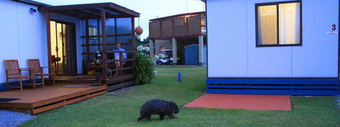 BIG4 Kelso Sands Holiday & Native Wildlife Park - Travel Search 2