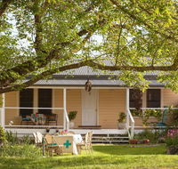 Bird House - Tourism Guide