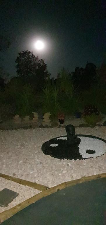 Birdhouse Cottage B&B - Tourism Guide 1