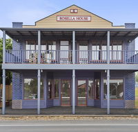 Blue Rosella On Piper - Tourism Guide