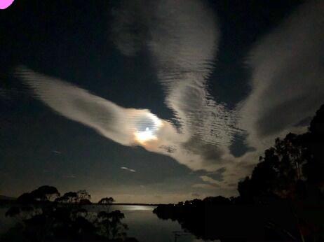 Blue Waters Holiday Cottages - Travel Agents 2