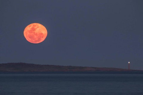 Blue Waters Holiday Cottages - Travel Agents 1