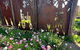 The Old Convent Dalwallinu - thumb 1