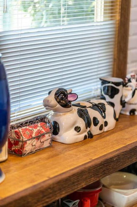 The Spotted Cow,city Fringe,pet Friendly-Free Wine - Tourism Guide 2