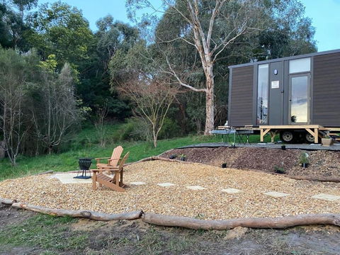 The Whistling Frog By Tiny Away - Cruises Travel 3
