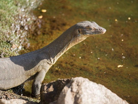 Rumah Surgah On Lake Bennett - Travel Agents 2