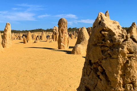 Pinnacles Desert (Private) Day Tour - Travel Agents 0