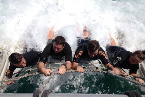 Cruise In Moreton Bay Marine Park And Moreton Island - Travel Agents 0