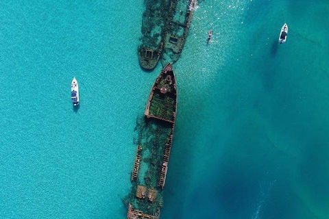 Cruise In Moreton Bay Marine Park And Moreton Island - Travel Agents 1