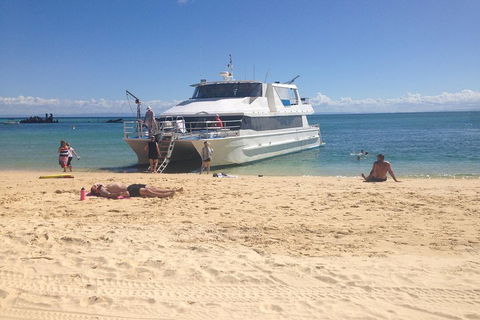 Cruise In Moreton Bay Marine Park And Moreton Island - Travel Agents 4