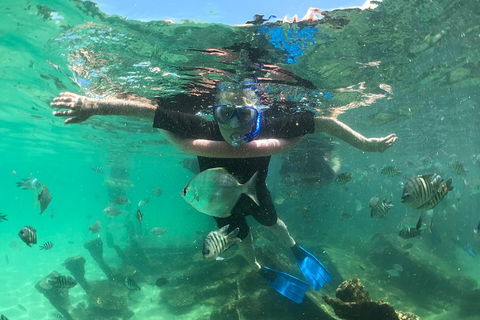 Cruise In Moreton Bay Marine Park And Moreton Island - Travel Agents 5