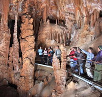 Private Tour Jenolan Caves  Blue Mountains in a day - Tourism Guide
