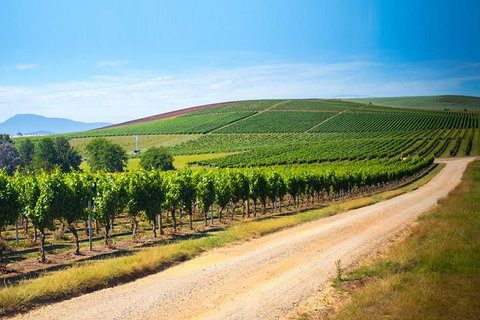 Full Day Tamar Valley Wine Tour - Travel Agents 1