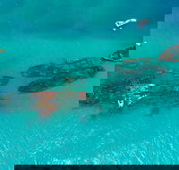 Private Tangalooma Wrecks Tour - Tourism Guide