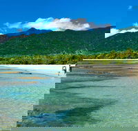 5-Day Best of Cairns with Daintree Kuranda and Great Barrier Reef - Tourism Guide