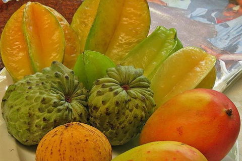 Cairns 4WD Waterfall And Rainforest Tour Including Kuranda Scenic Railway - Tourism Guide 4