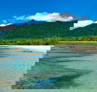 8-Day Cairns Tour Great Barrier Reef Kuranda Daintree Rainforest - Tourism Guide