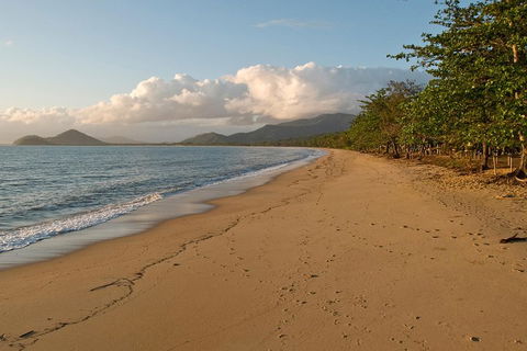 Cairns Reef And Rainforest Combo: Daintree Rainforest And The Great Barrier Reef - Travel Agents 4