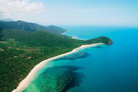 Cape Tribulation, Mossman Gorge, And Daintree Rainforest Premium Day Tour - Cruises Travel 2