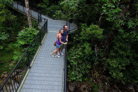 Cape Tribulation, Mossman Gorge, And Daintree Rainforest Premium Day Tour - Cruises Travel 3