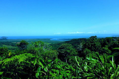 Cape Tribulation, Mossman Gorge, And Daintree Rainforest Premium Day Tour - Cruises Travel 5