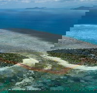 4-Day Cairns with Great Barrier Reef and Daintree Rainforest - Tourism Guide