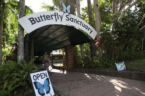 Kuranda Day Trip From Port Douglas Upgrade To Skyrail & Scenic Train Available - Cruises Travel 0