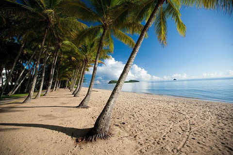 Kuranda Day Trip From Port Douglas Upgrade To Skyrail & Scenic Train Available - Cruises Travel 1