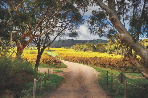 McLaren Vale Winery Small Group Tour With Wine Tasting And Lunch - Travel Search 1