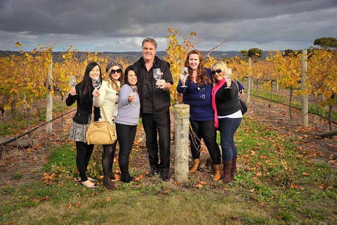 McLaren Vale Winery Small Group Tour With Wine Tasting And Lunch - Travel Search 3