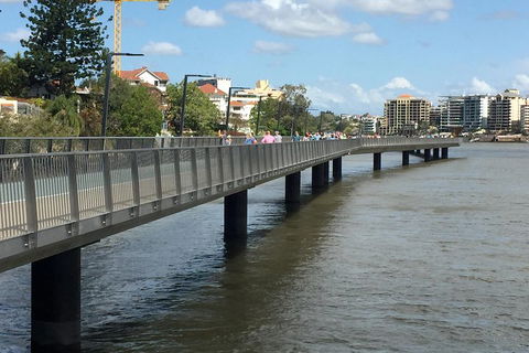Brisbane City Highlights With Lone Pine! - Cruises Travel 1