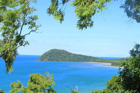 Full Day Tour In The Daintree - Cruises Travel 1
