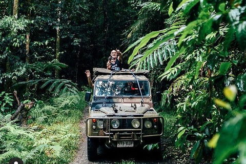 Full Day Tour In The Daintree - Cruises Travel 4