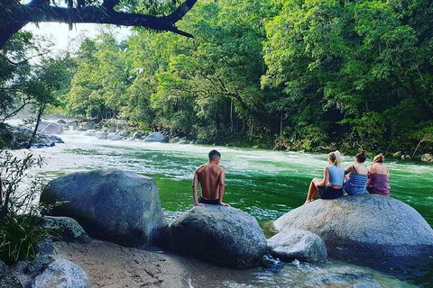 Afternoon Half-Day Daintree Rainforest And River Tour - Tourism Guide 0