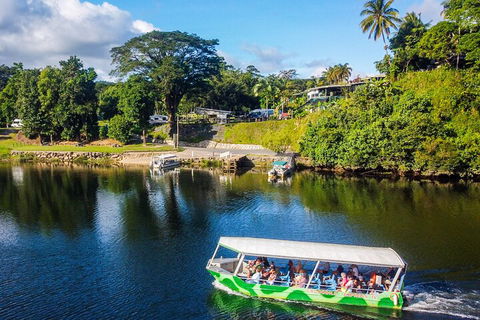 Afternoon Half-Day Daintree Rainforest And River Tour - Tourism Guide 1