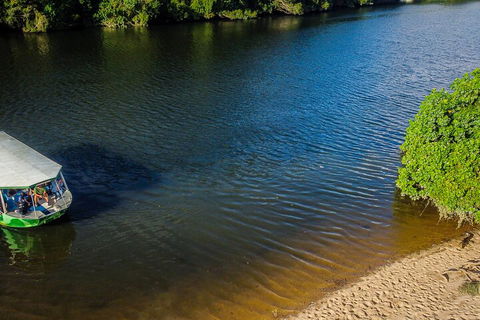 Afternoon Half-Day Daintree Rainforest And River Tour - Tourism Guide 3