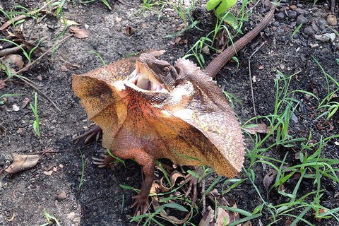 Litchfield National Park And Jumping Crocodile Cruise - Travel Agents 1