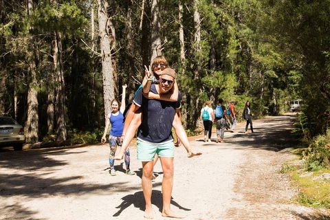 7-Day Best Of Tasmania Adventure Experience From Hobart (flexible Ticket) - Tourism Guide 5