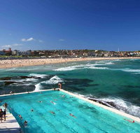 Private Sydney City and Bondi Beach Half Day Tour - Tourism Guide
