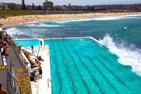Private Sydney Half Day Tour Including Sydney Opera House And Bondi Beach - Tourism Guide 1