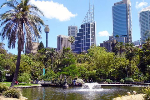 Private Sydney Half Day Tour Including Sydney Opera House And Bondi Beach - Tourism Guide 4
