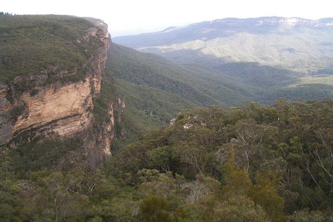 Full-Day Private Blue Mountains Tour With River Cruise - Tourism Guide 3