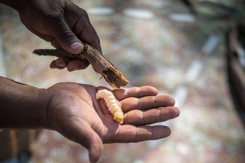 Karrke Aboriginal Cultural Experience - Tourism Guide 3