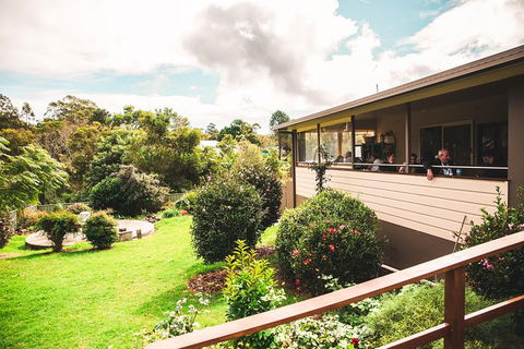 Full-day Springbrook National Park Tour From The Gold Coast - Travel Agents 2