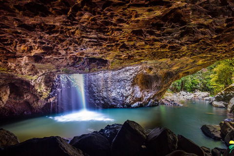 Full-day Springbrook National Park Tour From The Gold Coast - Travel Agents 3