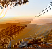 O'Reilly's  Lamington National Park incl. Alpaca Farm  Vineyard - Tourism Guide