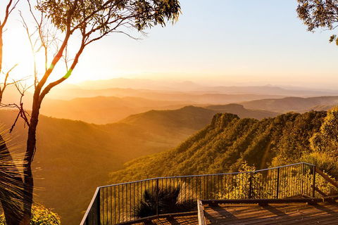 O'Reilly's & Lamington National Park Incl. Alpaca Farm + Vineyard - Travel Agents 0