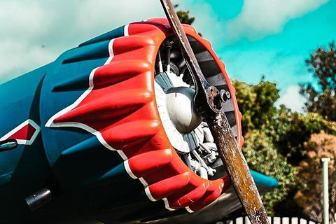 O'Reilly's & Lamington National Park Incl. Alpaca Farm + Vineyard - Travel Agents 1