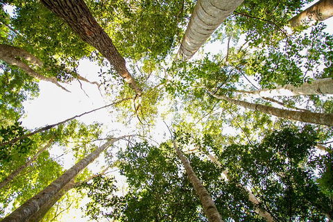 Fraser Island 4WD Tour From Noosa - Travel Agents 0
