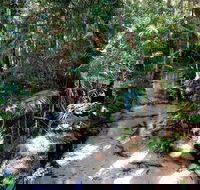Fraser Island 4WD Tour from Rainbow Beach - Tourism Guide